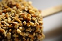 Gelato Line_Stickaway-hazelnut-grains