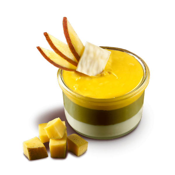 VARIEGATE Mango Cream with Pieces X 5.5 KG